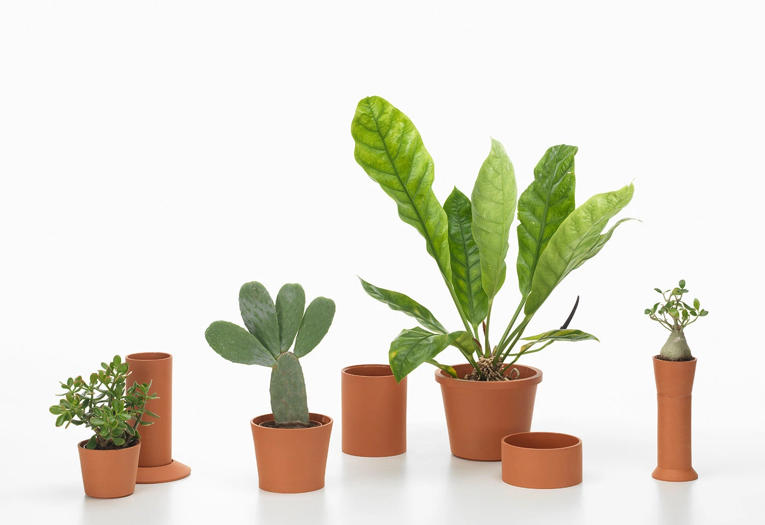 Vitra Terracotta Pots, 2023 3 Vitra Terracotta Pots, 2023