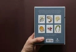 Superfolk Wild Sea Notecards, 2015 6 Superfolk Wild Sea Notecards, 2015 -Twentytwentyone Shop wild sea cards 2