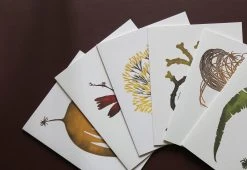 Superfolk Wild Sea Notecards, 2015 7 Superfolk Wild Sea Notecards, 2015 -Twentytwentyone Shop wild sea cards 3