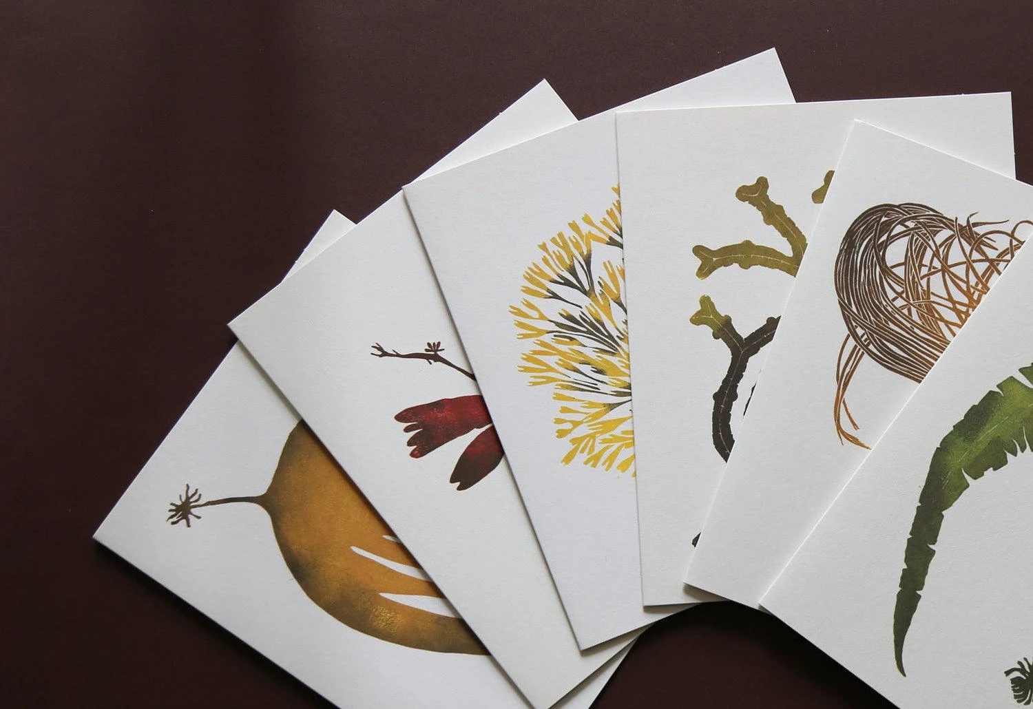 Superfolk Wild Sea Notecards, 2015 5 Superfolk Wild Sea Notecards, 2015 - Image 3